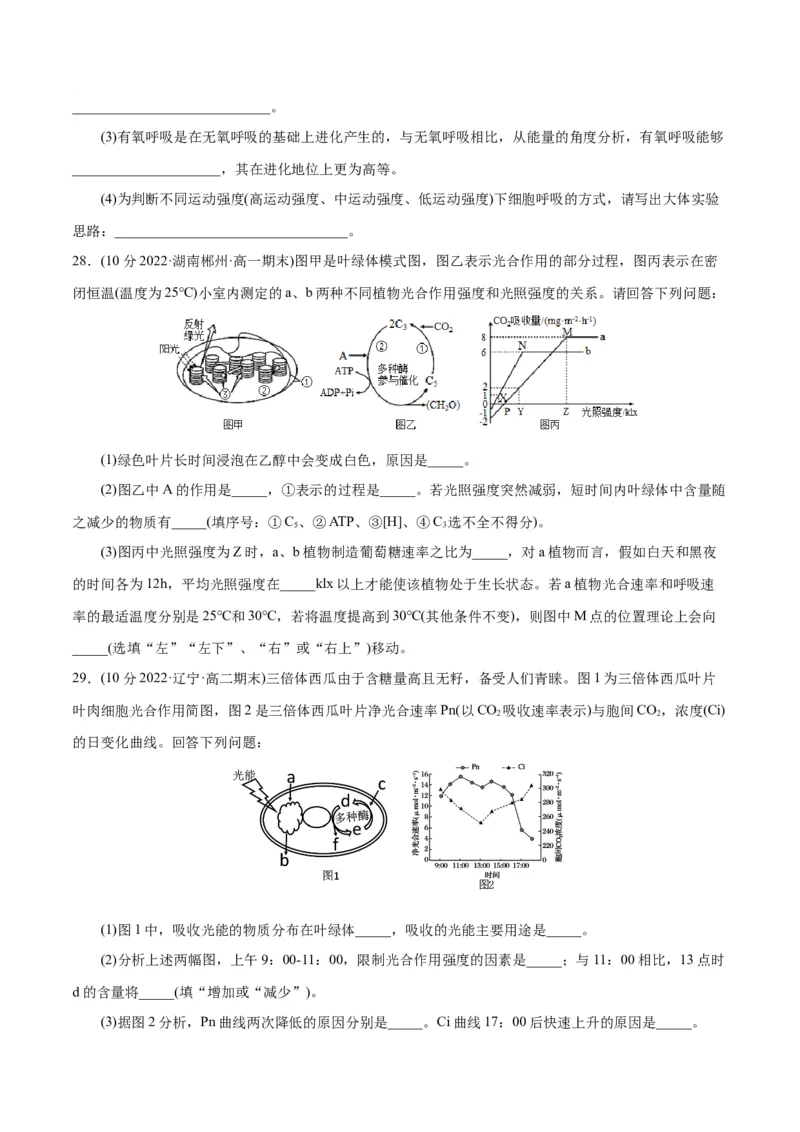 第5章细胞的能量供应和利用（B卷&middot;能力提升练）（原卷版）_高中九科知识点归纳。_人教版高中Word电子版试卷练习试题知识点全科_高中生物试卷习题_生物必修_必修1