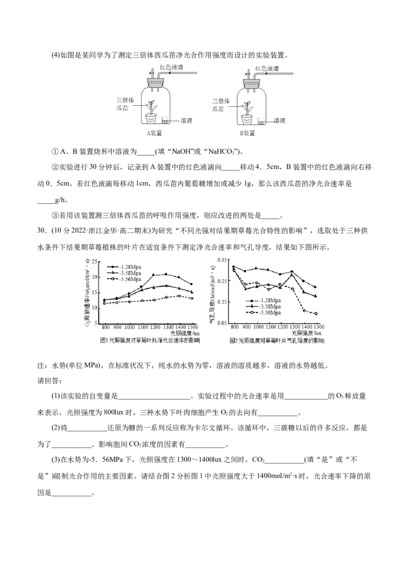 第5章细胞的能量供应和利用（B卷&middot;能力提升练）（原卷版）_高中九科知识点归纳。_人教版高中Word电子版试卷练习试题知识点全科_高中生物试卷习题_生物必修_必修1