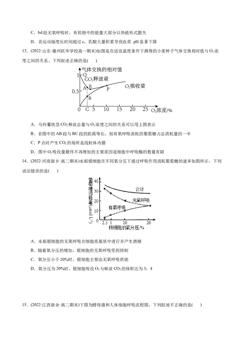 第5章细胞的能量供应和利用（B卷&middot;能力提升练）（原卷版）_高中九科知识点归纳。_人教版高中Word电子版试卷练习试题知识点全科_高中生物试卷习题_生物必修_必修1