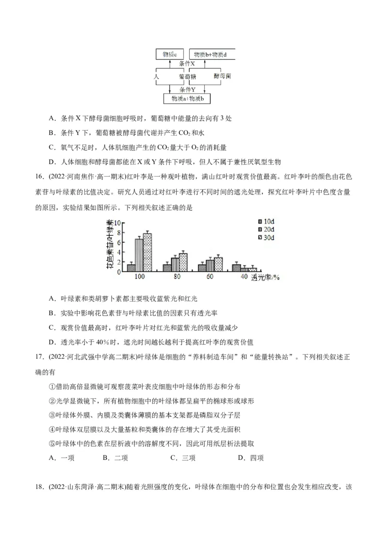第5章细胞的能量供应和利用（B卷&middot;能力提升练）（原卷版）_高中九科知识点归纳。_人教版高中Word电子版试卷练习试题知识点全科_高中生物试卷习题_生物必修_必修1