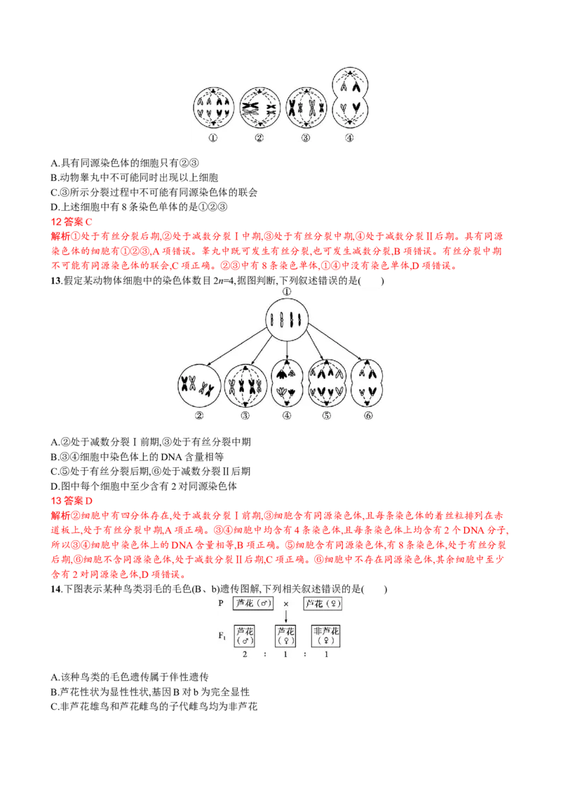 第2章基因和染色体的关系（解析版）_高中九科知识点归纳。_人教版高中Word电子版试卷练习试题知识点全科_高中生物试卷习题_生物必修_必修2_人教版生物必修二单元测试（012份）