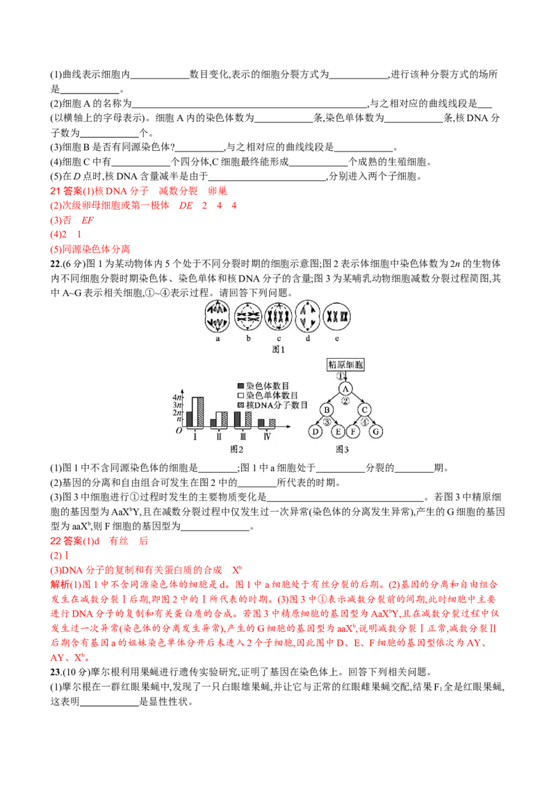 第2章基因和染色体的关系（解析版）_高中九科知识点归纳。_人教版高中Word电子版试卷练习试题知识点全科_高中生物试卷习题_生物必修_必修2_人教版生物必修二单元测试（012份）