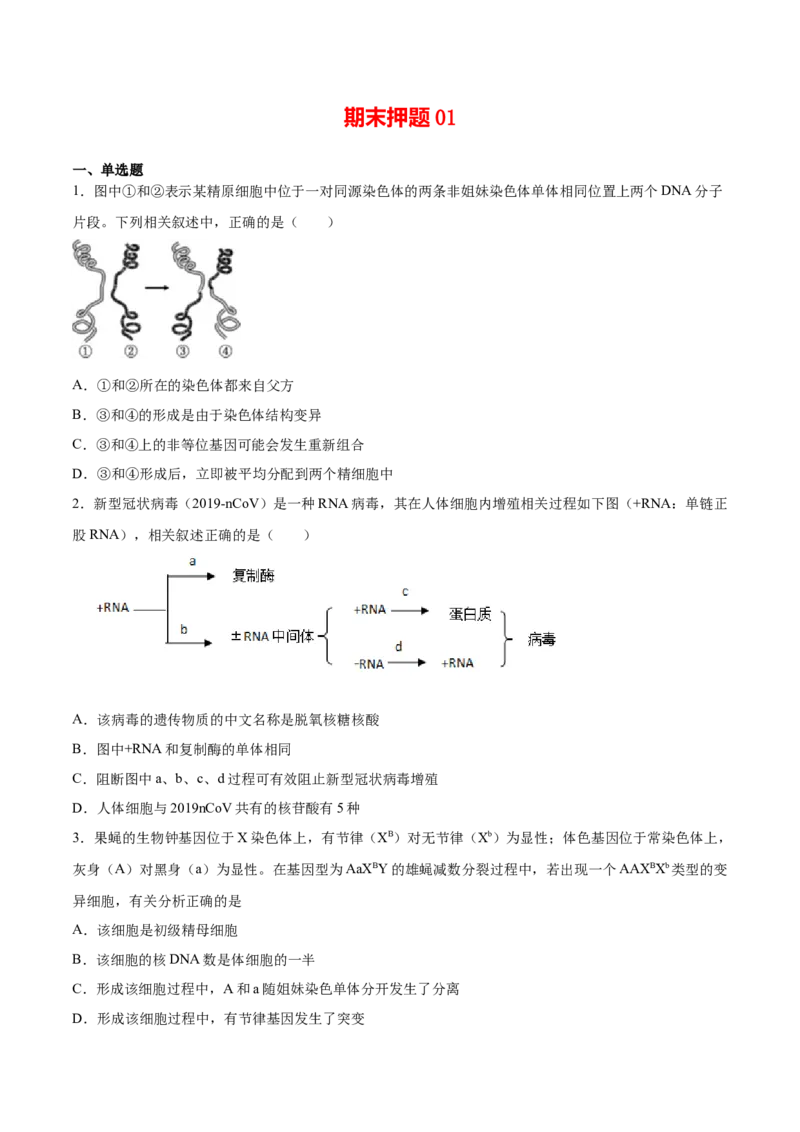 期末押题01-高一生物下学期期末专项复习（人教版2019必修2）（原卷版）_高中九科知识点归纳。_人教版高中Word电子版试卷练习试题知识点全科_高中生物试卷习题_生物必修_必修2