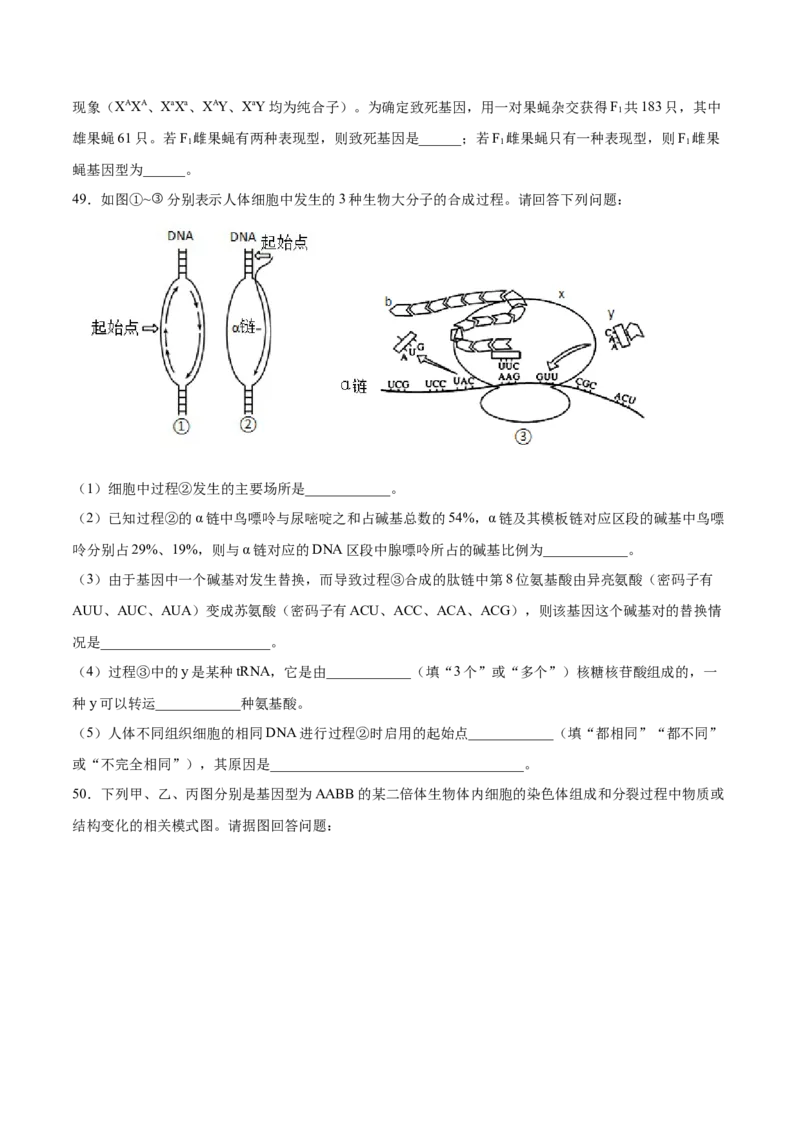 期末押题01-高一生物下学期期末专项复习（人教版2019必修2）（原卷版）_高中九科知识点归纳。_人教版高中Word电子版试卷练习试题知识点全科_高中生物试卷习题_生物必修_必修2