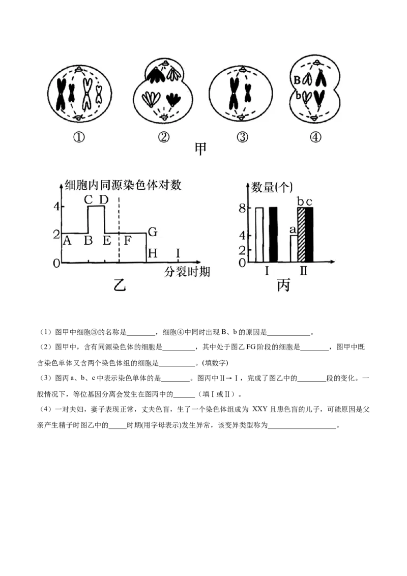 期末押题01-高一生物下学期期末专项复习（人教版2019必修2）（原卷版）_高中九科知识点归纳。_人教版高中Word电子版试卷练习试题知识点全科_高中生物试卷习题_生物必修_必修2