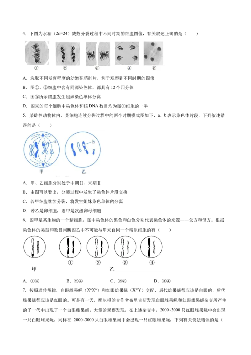期末押题01-高一生物下学期期末专项复习（人教版2019必修2）（原卷版）_高中九科知识点归纳。_人教版高中Word电子版试卷练习试题知识点全科_高中生物试卷习题_生物必修_必修2