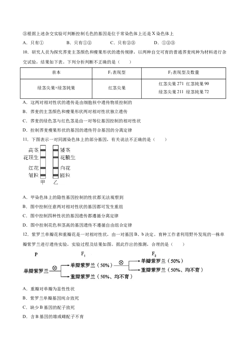 期末押题01-高一生物下学期期末专项复习（人教版2019必修2）（原卷版）_高中九科知识点归纳。_人教版高中Word电子版试卷练习试题知识点全科_高中生物试卷习题_生物必修_必修2