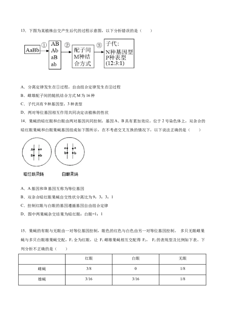 期末押题01-高一生物下学期期末专项复习（人教版2019必修2）（原卷版）_高中九科知识点归纳。_人教版高中Word电子版试卷练习试题知识点全科_高中生物试卷习题_生物必修_必修2