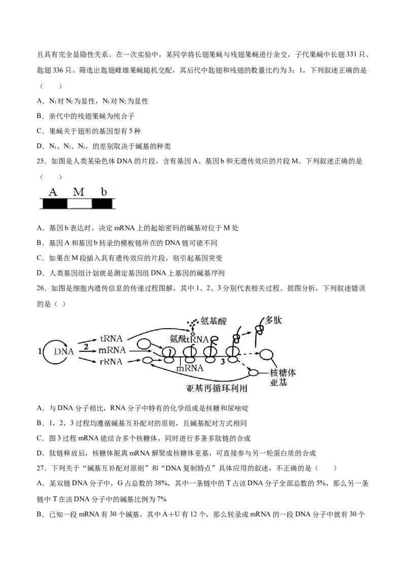 期末押题01-高一生物下学期期末专项复习（人教版2019必修2）（原卷版）_高中九科知识点归纳。_人教版高中Word电子版试卷练习试题知识点全科_高中生物试卷习题_生物必修_必修2