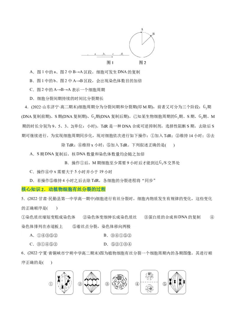 第6章细胞的生命历程（A卷&middot;知识通关练）（原卷版）_高中九科知识点归纳。_人教版高中Word电子版试卷练习试题知识点全科_高中生物试卷习题_生物必修_必修1_1.单元测试AB卷（第一套）