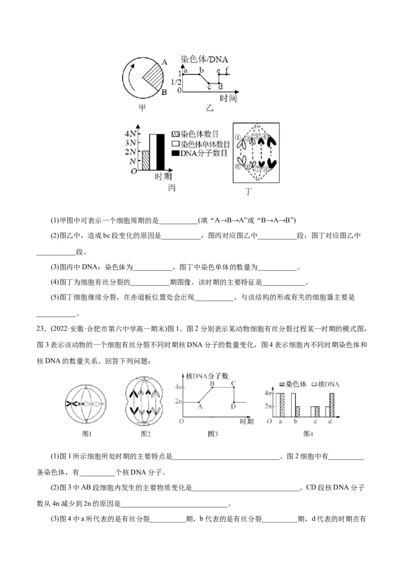 第6章细胞的生命历程（A卷&middot;知识通关练）（原卷版）_高中九科知识点归纳。_人教版高中Word电子版试卷练习试题知识点全科_高中生物试卷习题_生物必修_必修1_1.单元测试AB卷（第一套）