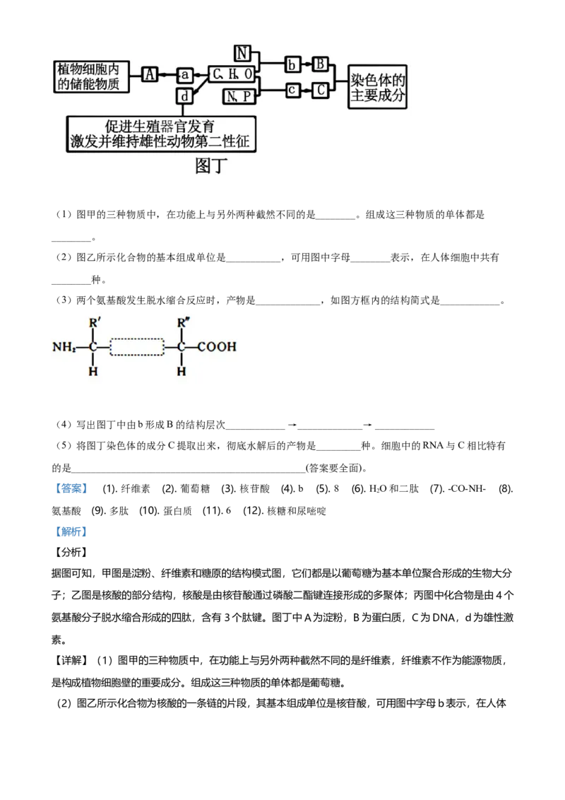 精品解析：黑龙江大庆市东风中学高一上学期期末教学质量检测生物试题（解析版）_高中九科知识点归纳。_人教版高中Word电子版试卷练习试题知识点全科_高中生物试卷习题_生物必修