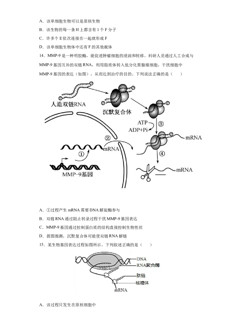 期末拔高卷4-冲刺期末高一生物下学期期末拔高冲刺卷（2019人教版）（原卷版）_高中九科知识点归纳。_人教版高中Word电子版试卷练习试题知识点全科_高中生物试卷习题_生物必修