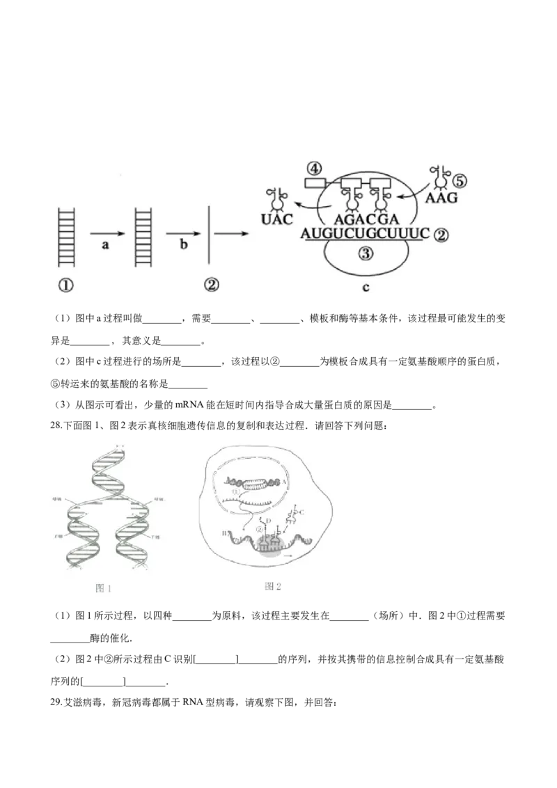 高一生物下学期期中测试卷02（人教版2019选择性必修2）（原卷版）_高中九科知识点归纳。_人教版高中Word电子版试卷练习试题知识点全科_高中生物试卷习题_生物必修_必修2