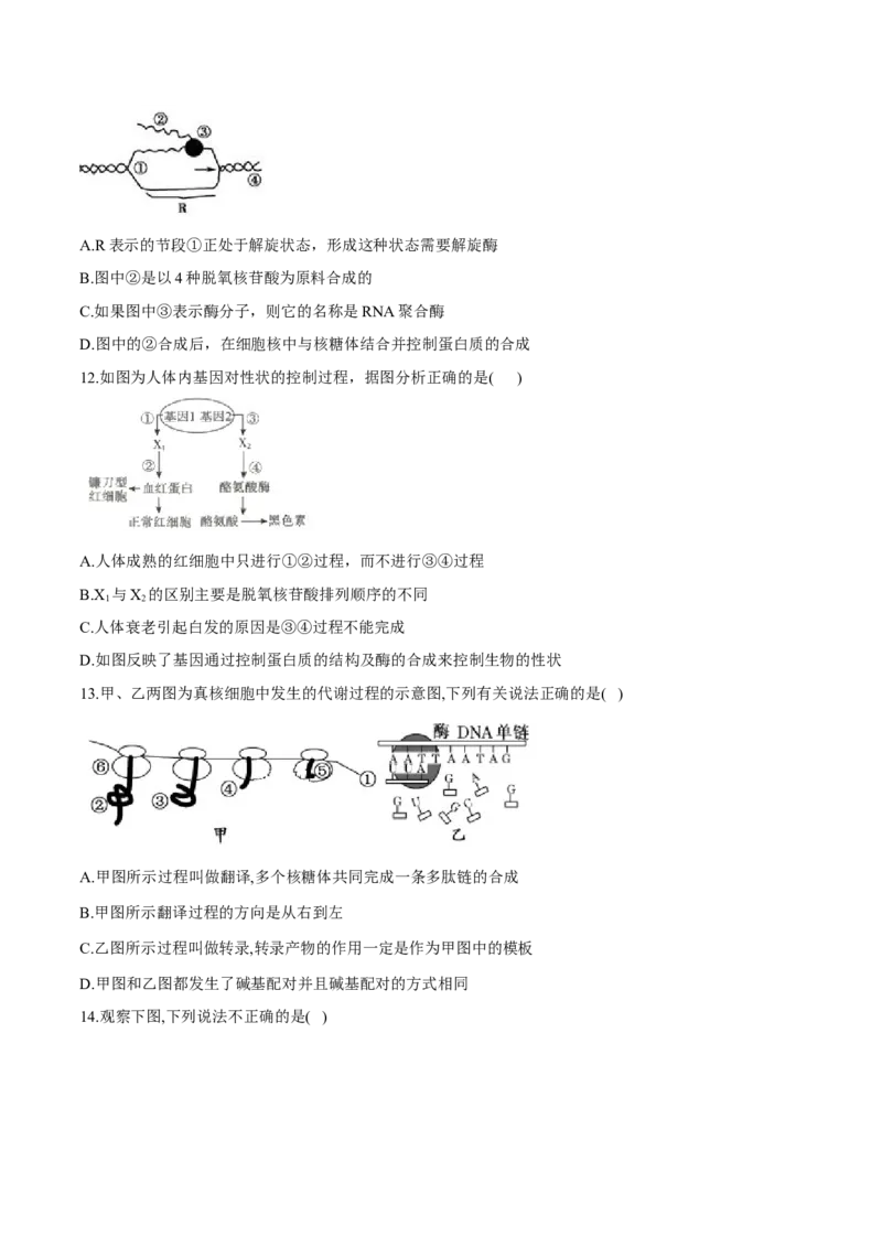 高一生物下学期期末测试卷01（新教材必修二）（原卷版）_高中九科知识点归纳。_人教版高中Word电子版试卷练习试题知识点全科_高中生物试卷习题_生物必修_必修2