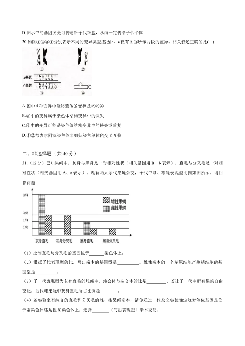 高一生物下学期期末测试卷01（新教材必修二）（原卷版）_高中九科知识点归纳。_人教版高中Word电子版试卷练习试题知识点全科_高中生物试卷习题_生物必修_必修2