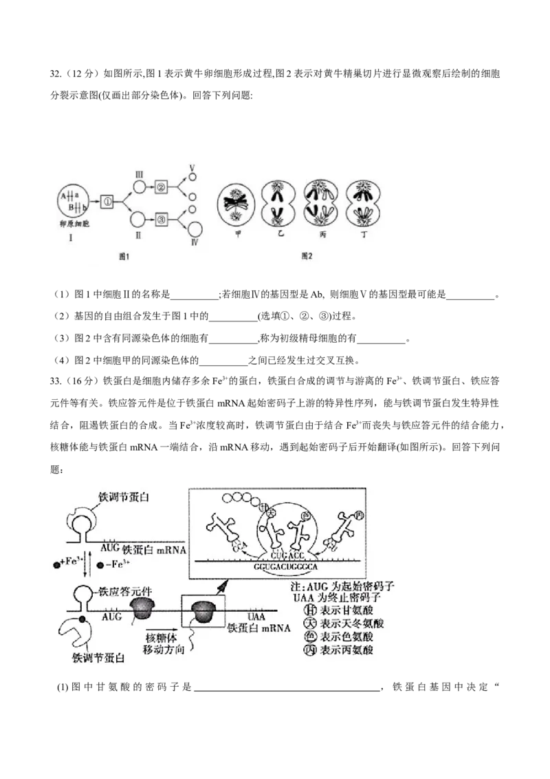 高一生物下学期期末测试卷01（新教材必修二）（原卷版）_高中九科知识点归纳。_人教版高中Word电子版试卷练习试题知识点全科_高中生物试卷习题_生物必修_必修2