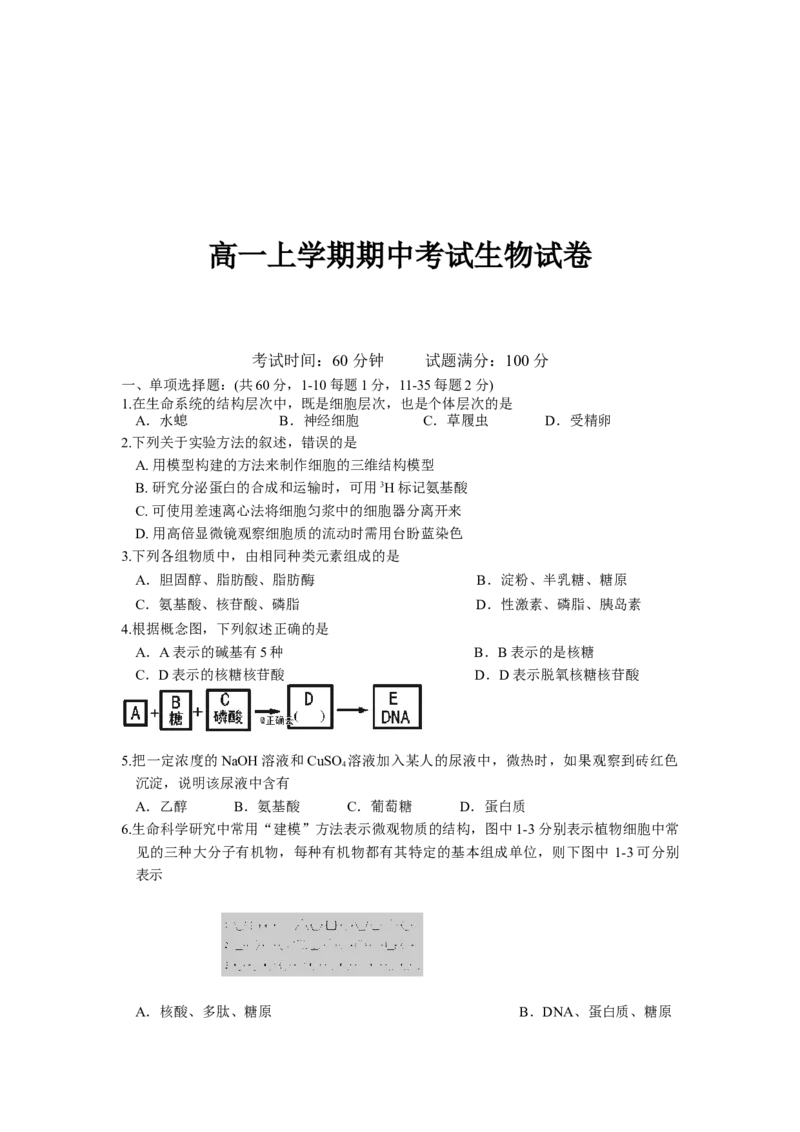 辽宁省实验中学高一上学期期中考试生物试卷_高中九科知识点归纳。_人教版高中Word电子版试卷练习试题知识点全科_高中生物试卷习题_生物必修_必修1