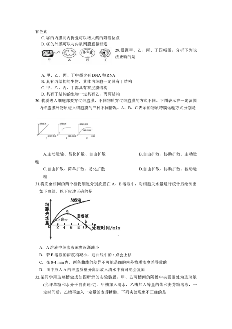 辽宁省实验中学高一上学期期中考试生物试卷_高中九科知识点归纳。_人教版高中Word电子版试卷练习试题知识点全科_高中生物试卷习题_生物必修_必修1