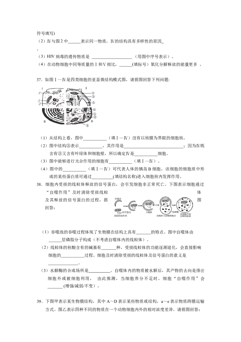 辽宁省实验中学高一上学期期中考试生物试卷_高中九科知识点归纳。_人教版高中Word电子版试卷练习试题知识点全科_高中生物试卷习题_生物必修_必修1