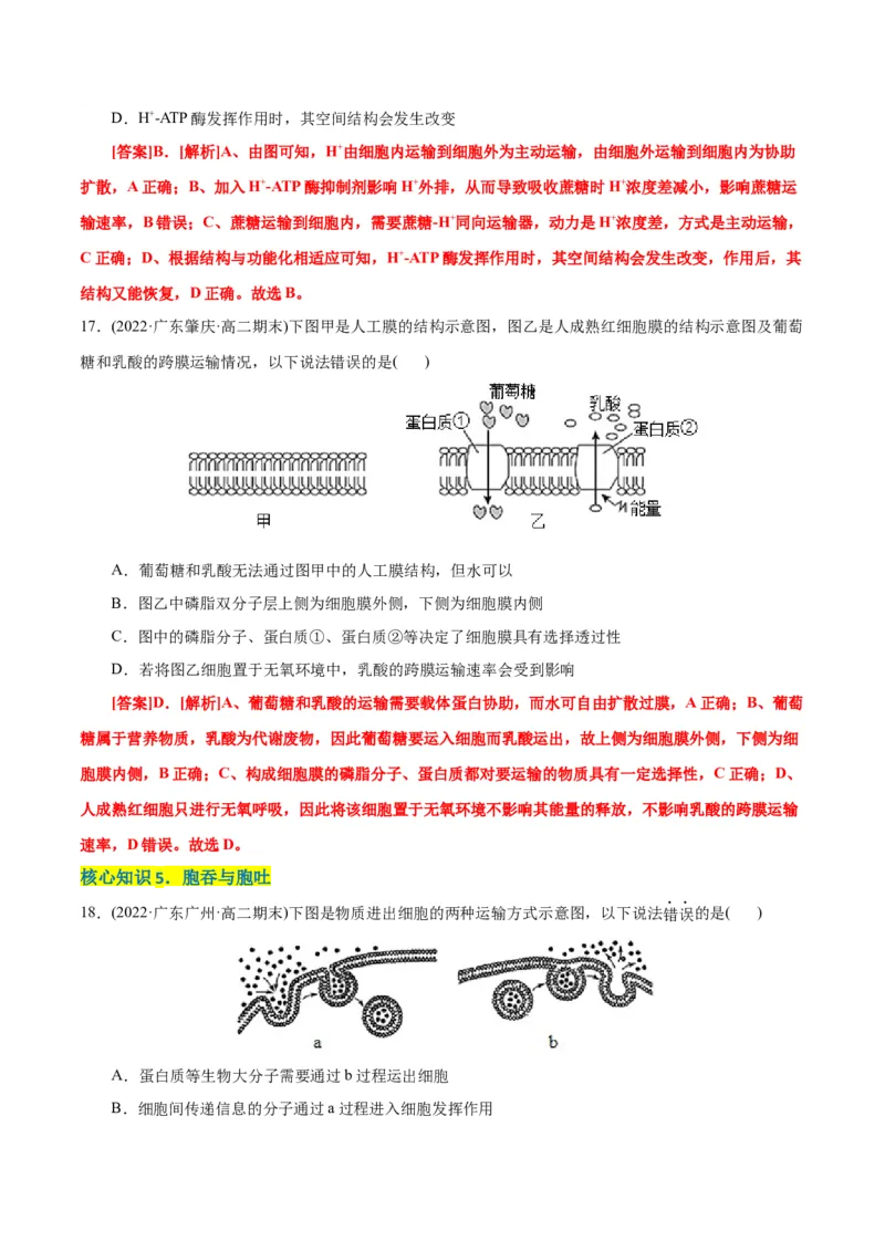 第4章细胞的物质输入和输出（A卷&middot;知识通关练）（解析版）_高中九科知识点归纳。_人教版高中Word电子版试卷练习试题知识点全科_高中生物试卷习题_生物必修_必修1