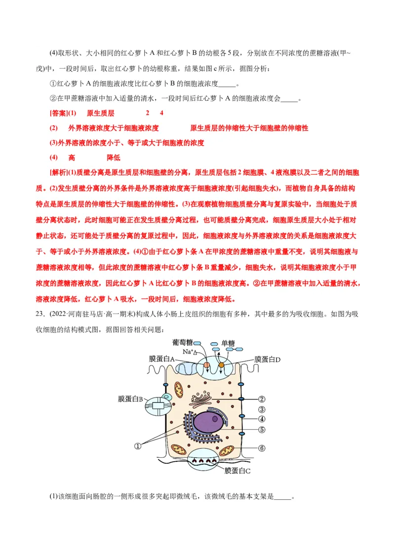第4章细胞的物质输入和输出（A卷&middot;知识通关练）（解析版）_高中九科知识点归纳。_人教版高中Word电子版试卷练习试题知识点全科_高中生物试卷习题_生物必修_必修1