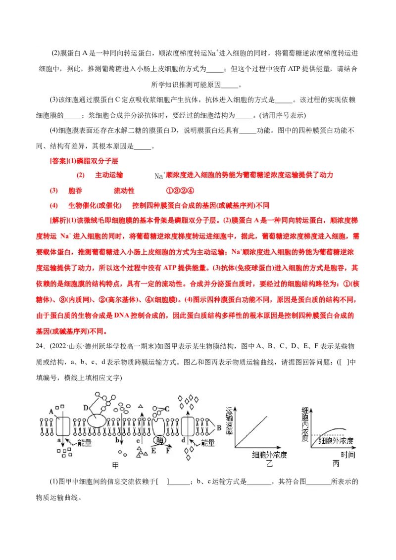 第4章细胞的物质输入和输出（A卷&middot;知识通关练）（解析版）_高中九科知识点归纳。_人教版高中Word电子版试卷练习试题知识点全科_高中生物试卷习题_生物必修_必修1
