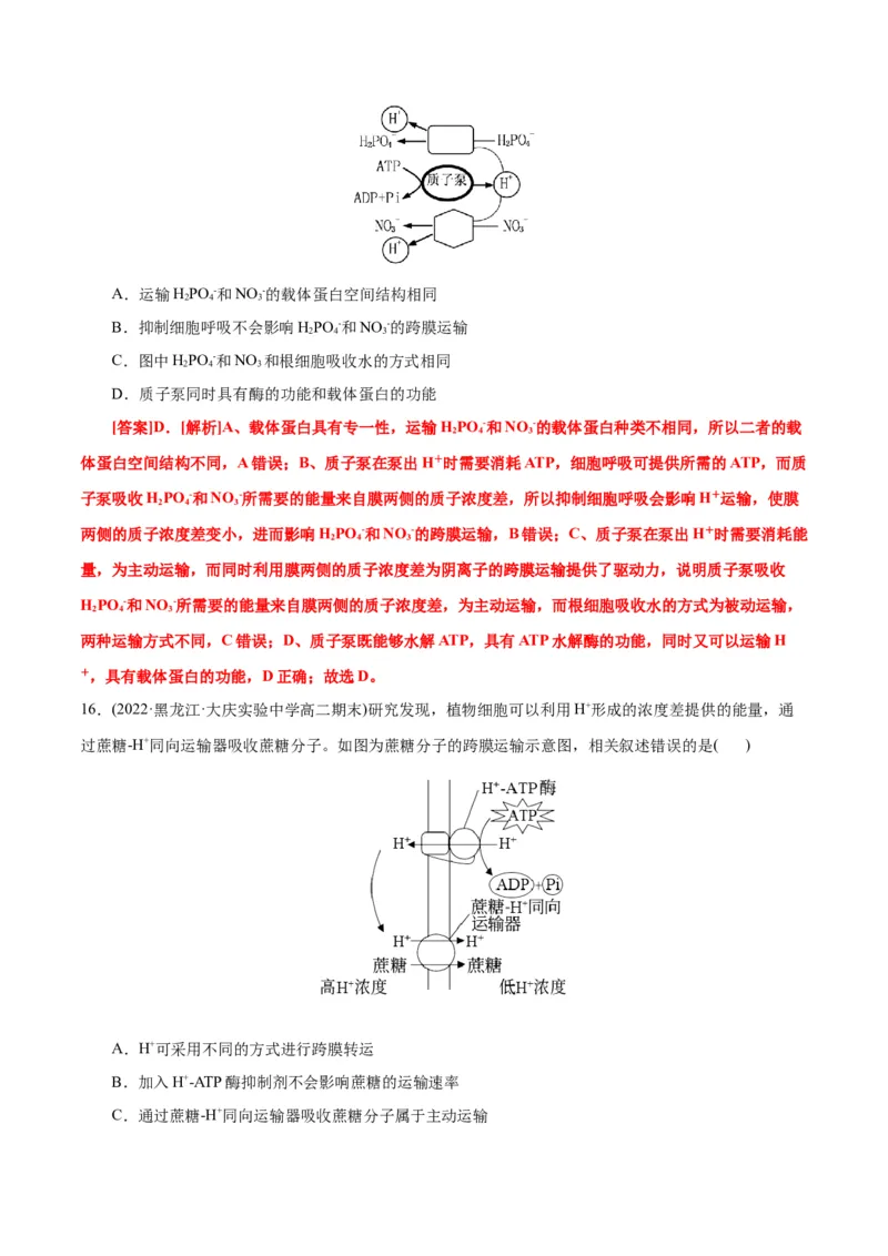 第4章细胞的物质输入和输出（A卷&middot;知识通关练）（解析版）_高中九科知识点归纳。_人教版高中Word电子版试卷练习试题知识点全科_高中生物试卷习题_生物必修_必修1