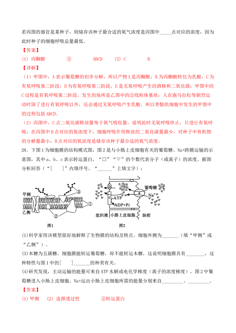 综合拉练卷04（解析版）_高中九科知识点归纳。_人教版高中Word电子版试卷练习试题知识点全科_高中生物试卷习题_生物必修_必修1_人教版生物必修一期末试卷（038份）_1.模拟题