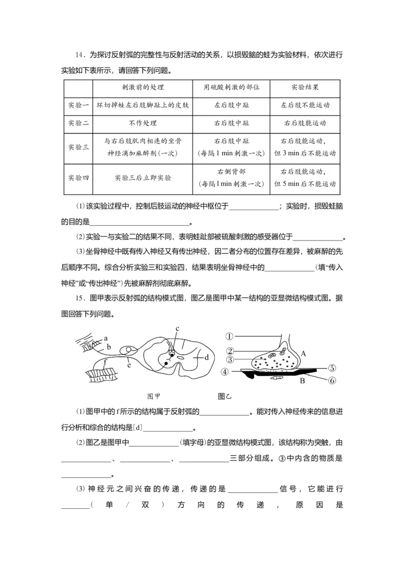 第2章神经调节练习高二上学期生物人教版选择性必修1_高中九科知识点归纳。_人教版高中Word电子版试卷练习试题知识点全科_高中生物试卷习题_生物选修_选修1_2.单元测试（第二套）