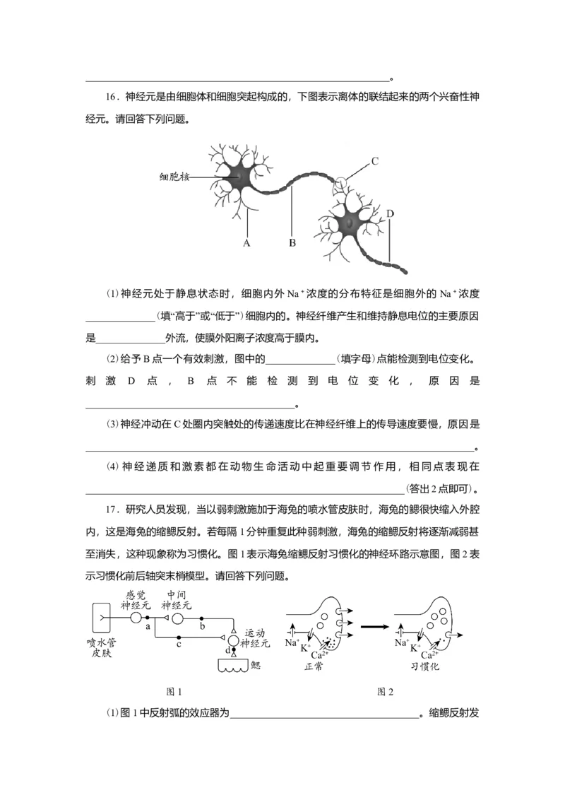 第2章神经调节练习高二上学期生物人教版选择性必修1_高中九科知识点归纳。_人教版高中Word电子版试卷练习试题知识点全科_高中生物试卷习题_生物选修_选修1_2.单元测试（第二套）