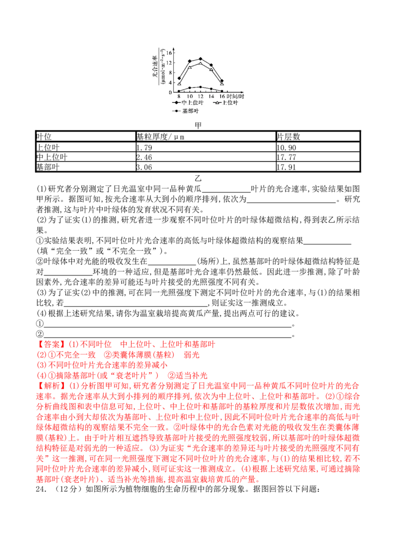 期末预测卷（一）-高一生物上学期课后培优分级练（2019人教版必修1）（解析版）_高中九科知识点归纳。_人教版高中Word电子版试卷练习试题知识点全科_高中生物试卷习题_生物必修_必修1