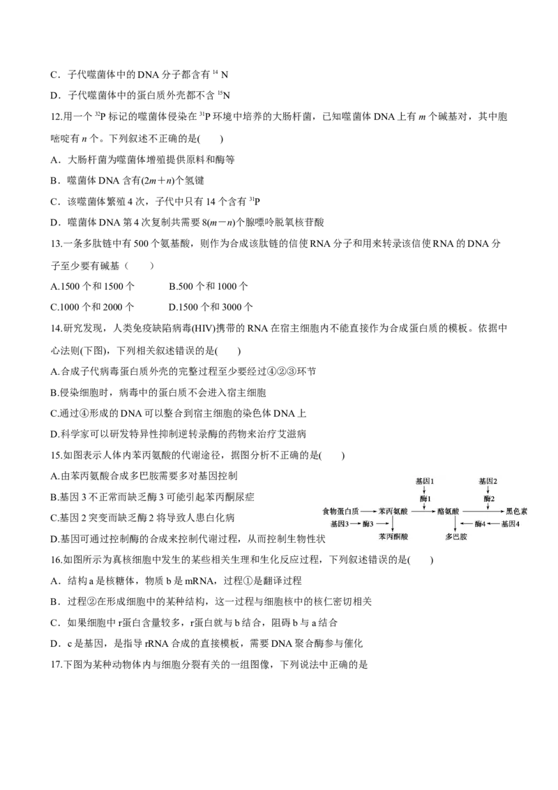 高一生物下学期期末测试卷03（新教材必修二）（原卷版）_高中九科知识点归纳。_人教版高中Word电子版试卷练习试题知识点全科_高中生物试卷习题_生物必修_必修2