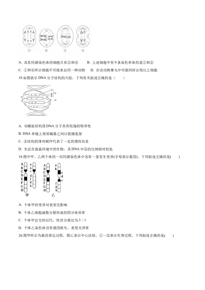高一生物下学期期末测试卷03（新教材必修二）（原卷版）_高中九科知识点归纳。_人教版高中Word电子版试卷练习试题知识点全科_高中生物试卷习题_生物必修_必修2