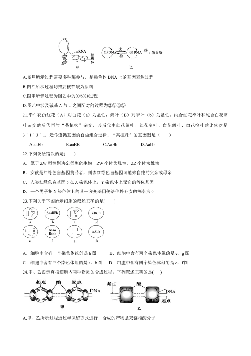 高一生物下学期期末测试卷03（新教材必修二）（原卷版）_高中九科知识点归纳。_人教版高中Word电子版试卷练习试题知识点全科_高中生物试卷习题_生物必修_必修2