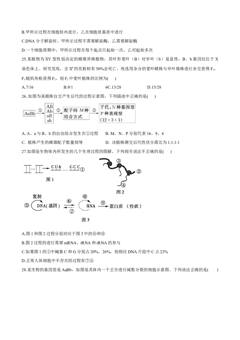 高一生物下学期期末测试卷03（新教材必修二）（原卷版）_高中九科知识点归纳。_人教版高中Word电子版试卷练习试题知识点全科_高中生物试卷习题_生物必修_必修2