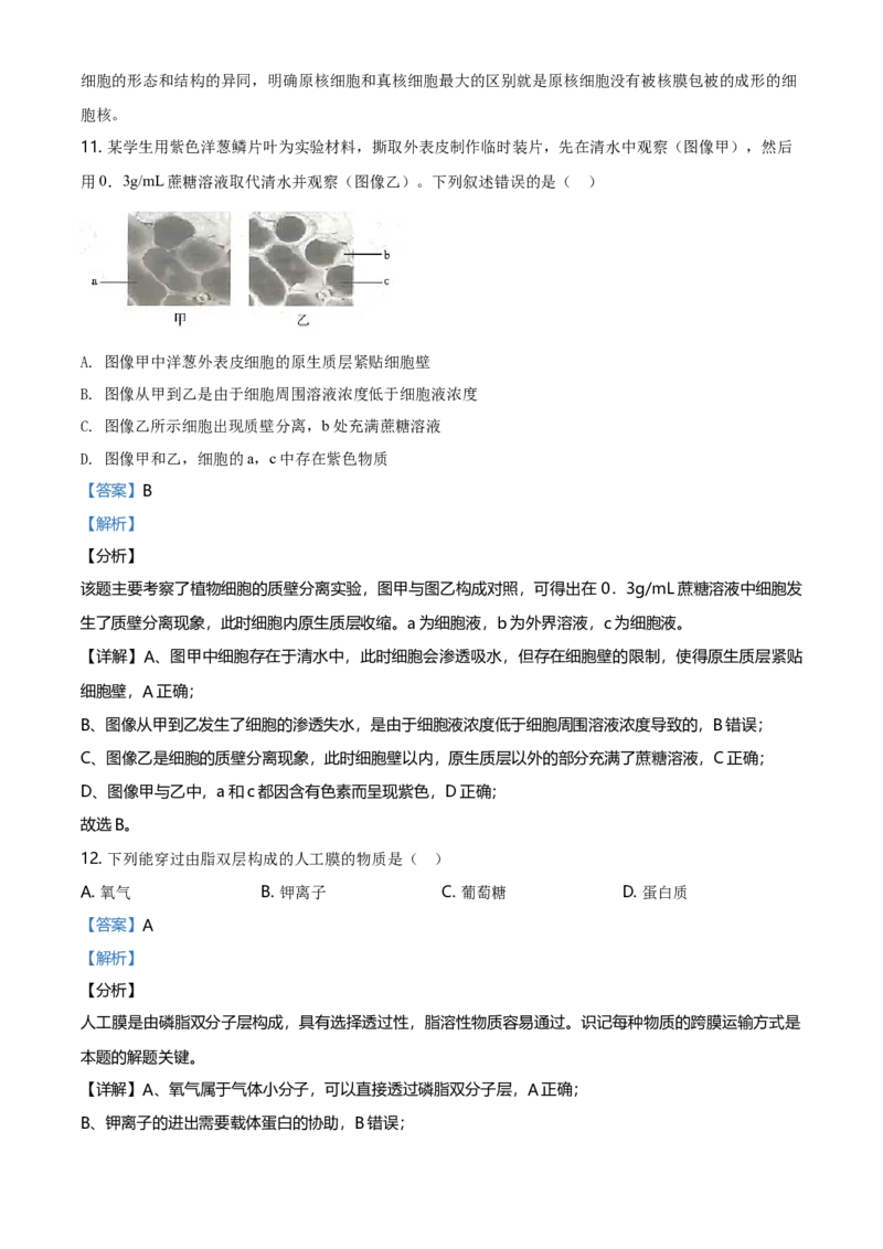 精品解析：北京市石景山2020-2021高一上学期期末生物试题（解析版）_高中九科知识点归纳。_人教版高中Word电子版试卷练习试题知识点全科_高中生物试卷习题_生物必修_必修1_2.各地真题