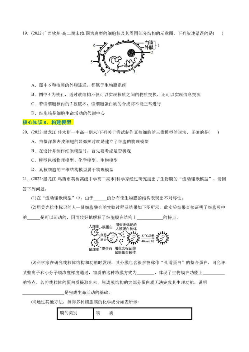 第3章细胞的基本结构（A卷&middot;知识通关练）（原卷版）_高中九科知识点归纳。_人教版高中Word电子版试卷练习试题知识点全科_高中生物试卷习题_生物必修_必修1_1.单元测试AB卷（第一套）