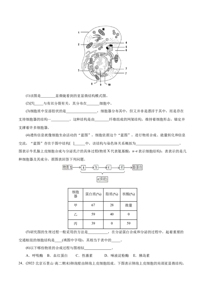 第3章细胞的基本结构（A卷&middot;知识通关练）（原卷版）_高中九科知识点归纳。_人教版高中Word电子版试卷练习试题知识点全科_高中生物试卷习题_生物必修_必修1_1.单元测试AB卷（第一套）