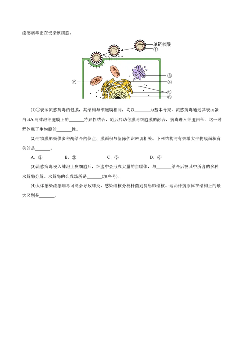 第3章细胞的基本结构（A卷&middot;知识通关练）（原卷版）_高中九科知识点归纳。_人教版高中Word电子版试卷练习试题知识点全科_高中生物试卷习题_生物必修_必修1_1.单元测试AB卷（第一套）