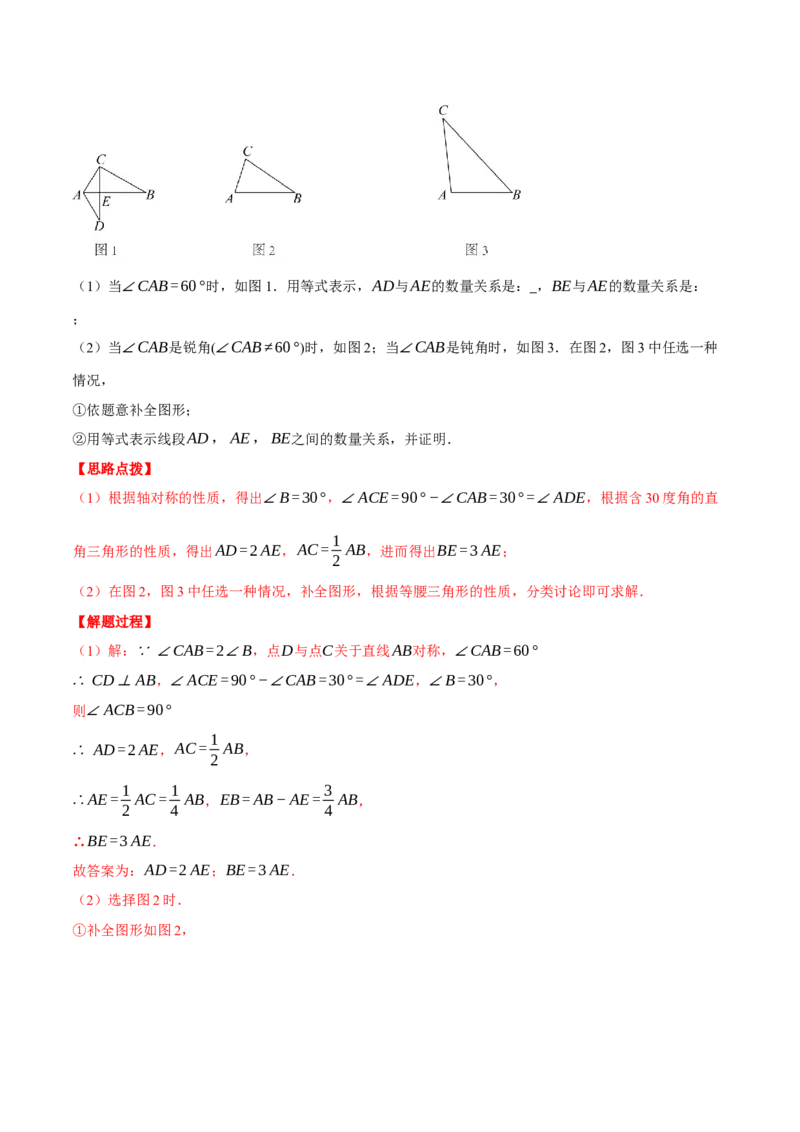专题13.1轴对称的几何综合（压轴题专项讲练）（人教版）（教师版）_初中数学_八年级数学上册（人教版）_压轴题专项-V5_2024版
