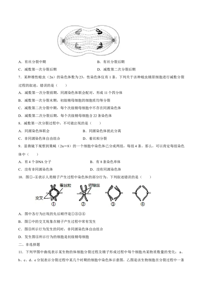 新教材2.11减数分裂和受精作用练习（2）（原卷版）_高中九科知识点归纳。_人教版高中Word电子版试卷练习试题知识点全科_高中生物试卷习题_生物必修_必修2_1、同步练习