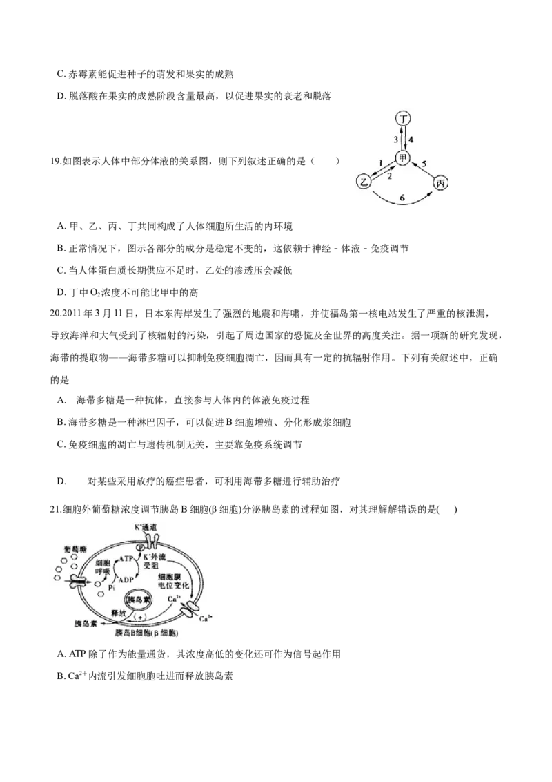 高二生物上学期期末测试卷01（人教版2019选择性必修1）（原卷版）_高中九科知识点归纳。_人教版高中Word电子版试卷练习试题知识点全科_高中生物试卷习题_生物选修_选修1