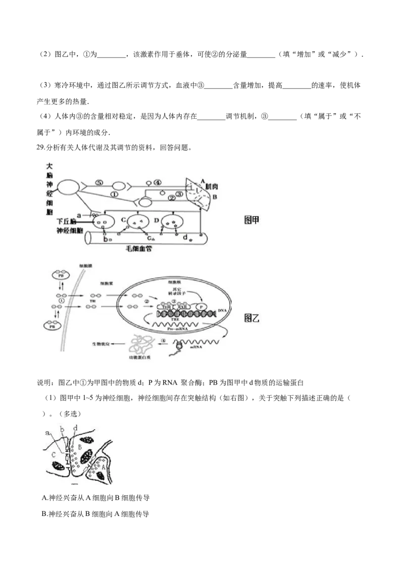 高二生物上学期期末测试卷01（人教版2019选择性必修1）（原卷版）_高中九科知识点归纳。_人教版高中Word电子版试卷练习试题知识点全科_高中生物试卷习题_生物选修_选修1