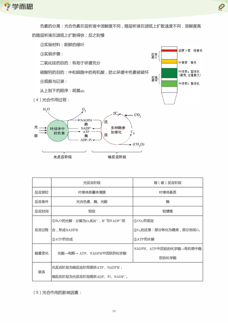 学而思1对1-高中生物知识点汇编_高中九科知识点归纳。_《高中知识点汇编》