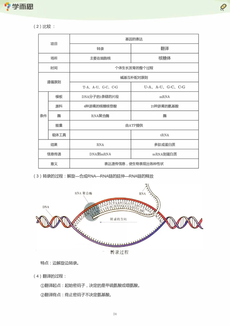 学而思1对1-高中生物知识点汇编_高中九科知识点归纳。_《高中知识点汇编》