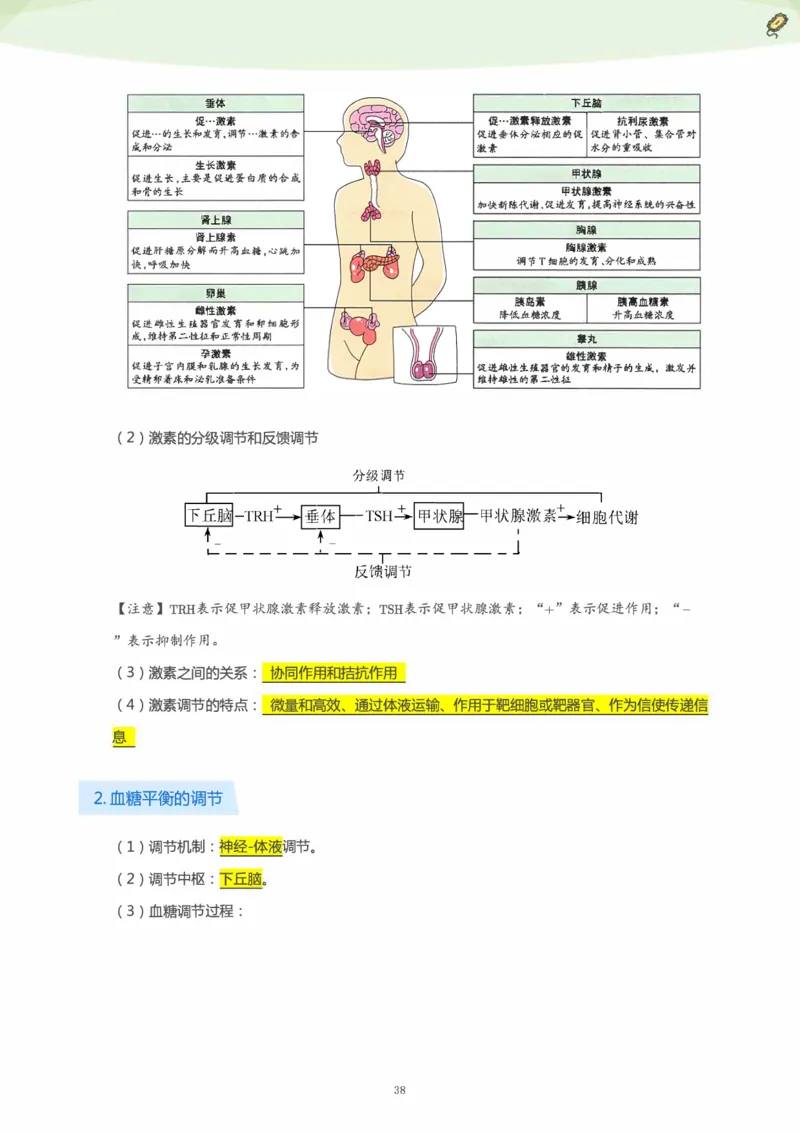 学而思1对1-高中生物知识点汇编_高中九科知识点归纳。_《高中知识点汇编》