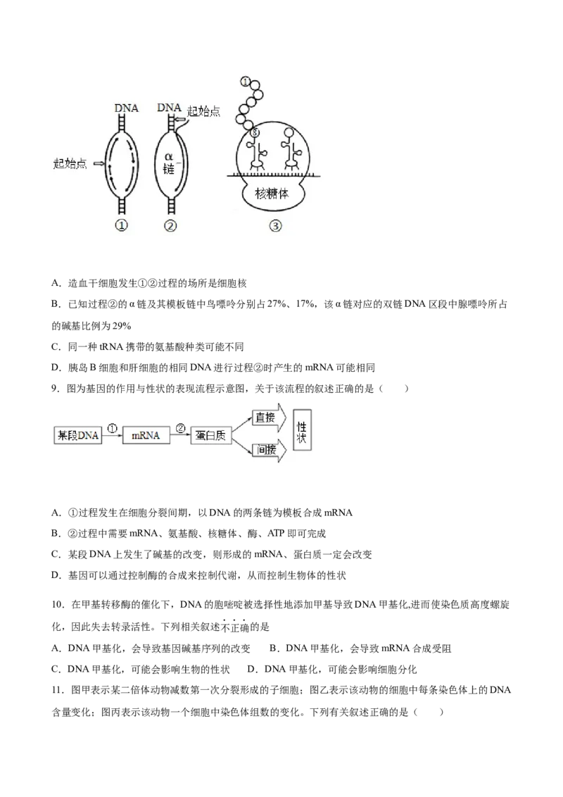 期末押题02-高一生物下学期期末专项复习（人教版2019必修2）（原卷版）_高中九科知识点归纳。_人教版高中Word电子版试卷练习试题知识点全科_高中生物试卷习题_生物必修_必修2