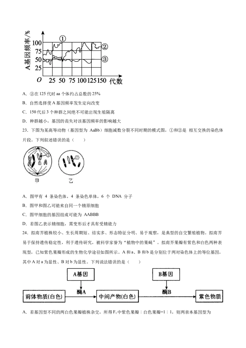 期末押题02-高一生物下学期期末专项复习（人教版2019必修2）（原卷版）_高中九科知识点归纳。_人教版高中Word电子版试卷练习试题知识点全科_高中生物试卷习题_生物必修_必修2