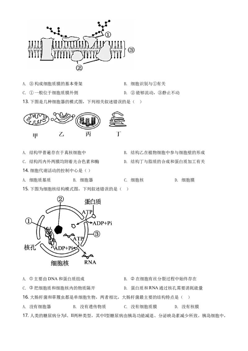 精品解析：江苏省南京市高一上学期期末学情调研生物试题（原卷版）_高中九科知识点归纳。_人教版高中Word电子版试卷练习试题知识点全科_高中生物试卷习题_生物必修_必修1_2.各地真题